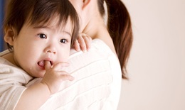 Biểu hiện trẻ dị ứng sữa bò và cách phòng ngừa