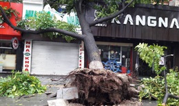 Dự b&#225;o m&#249;a mưa b&#227;o 2017: Nhiều v&#224; bất thường