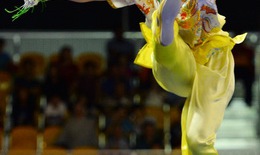 Wushu Việt Nam hướng đến SEA Games 29