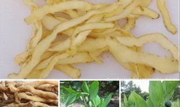 Canh thanh nhiệt, dưỡng huyết ngày hè
