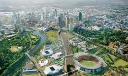 Qua đợt nắng nóng kỷ lục ở Thủ đô: Ngẫm “bài toán” cây xanh, mặt hồ