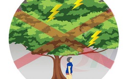 Kỹ năng phòng ngừa tai nạn thương tích mùa mưa bão