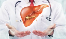 Phòng ngừa bệnh dễ mắc ở gan