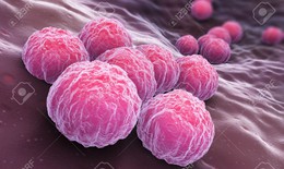Nhiễm Chlamydia và các biến chứng nguy hại