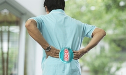 Đau cột sống đau thắt lưng, tránh tái phát thế nào?