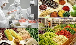 95% thực phẩm nhập khẩu không phải kiểm tra Nhà nước