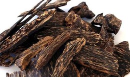 Trầm hương trị viêm phế quản, đầy trướng bụng