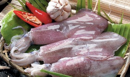 Món ngon - Thuốc quý từ cá mực