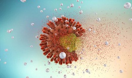 Công nghệ nano trong phòng và trị HIV/AIDS
