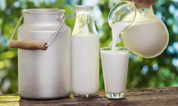 Chế độ dinh dưỡng cân bằng cho người đái tháo đường