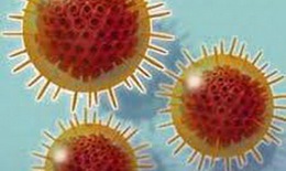 Nhận biết viêm não do virut herpes