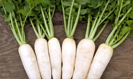 Củ cải trắng bổ dưỡng và trị được nhiều bệnh