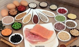 Chế độ ăn cần kết hợp hài hòa đạm động vật và đạm thực vật