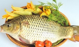 Bài thuốc, món ăn chữa chóng mặt, ù tai