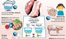 Nhiễm sán dây lợn: Đừng quá lo lắng, nhưng phải chủ động phòng bệnh