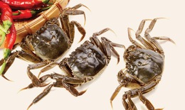 Cua đồng - món ngon, thuốc quý