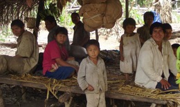 Bí mật của bộ lạc có trái tim khỏe nhất hành tinh