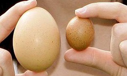 “Thủ phạm” gây lệch tinh hoàn