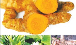 Bài thuốc trị chứng “bốc hỏa” ở chị em