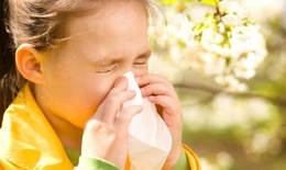 Một số bệnh dị ứng hay gặp ở trẻ em và cách xử trí