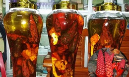 7 bài rượu thuốc “ông uống bà khen”