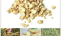 Trà dược ích khí, dưỡng huyết