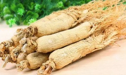Bài thuốc chữa say nắng, say nóng