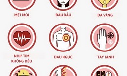 Giải pháp cho người thiếu máu