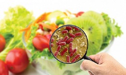 Cảnh giác ngộ độc thực phẩm ngày hè