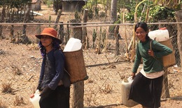 Ninh Thuận: “Cõng” nước mong nhanh qua hạn