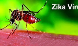 100% gia đình cần được phun hóa chất phòng virus Zika