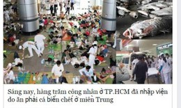 Facebook của Thanh Bùi chia sẻ bài sai sự thật cá biển chết ở miền Trung