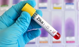 Thêm 6 bệnh nhân nhiễm Zika tại TP.HCM