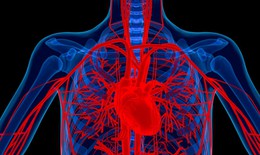 Thuốc điều trị viêm khớp có thể chữa được bệnh tim