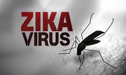 Những điều cần biết về nhiễm virus Zika ở trẻ em
