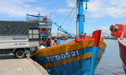 Cảng cá lớn nhất miền Trung: Giá cá rớt thê thảm sau vụ Formosa