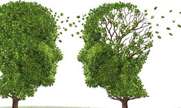 Alzheimer – căn bệnh có thể phòng tránh được