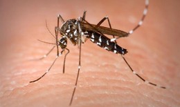 Cách phòng biến chứng do sốt xuất huyết