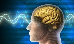 Đi bộ nhanh có thể giúp ngăn ngừa bệnh Alzheimer