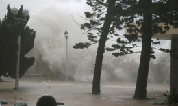 Bão Mangkhut vào Hồng Kông, Trung Quốc quật đổ cây, thổi bay người
