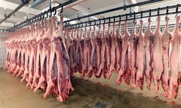 Thịt lợn được thu mua, giết mổ, cấp đông đều được kiểm dịch và đảm bảo  an toàn thực phẩm