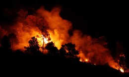 Tây Ban Nha: Cháy rừng lớn nhất 20 năm 