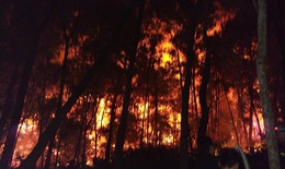 Hàng trăm điểm bùng  phát cháy rừng ở miền Trung