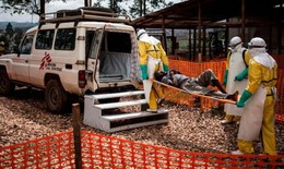 WHO ban bố tình trạng khẩn cấp toàn cầu về y tế đối với dịch Ebola