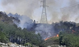 Cháy rừng tại Huế và Quảng Nam, nguy cơ ảnh hưởng đến đường dây truyền tải điện 500 kV và 220 kV