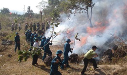Đề xuất quy định phòng cháy, chữa cháy rừng