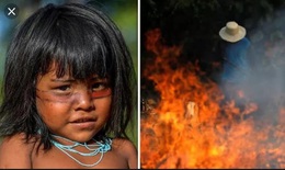 WHO cảnh b&#225;o ch&#225;y rừng Amazon l&#224;m gia tăng bệnh h&#244; hấp ở trẻ em