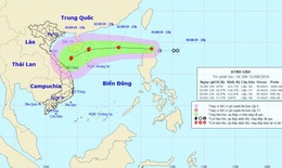 Từ Quảng Ninh đến Khánh Hòa chuẩn bị ứng phó với áp thấp nhiệt đới, có khả năng mạnh lên thành bão