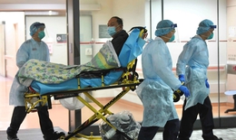 Xuất hiện thêm nhiều trường hợp  nhiễm virus NCoV trên thế giới