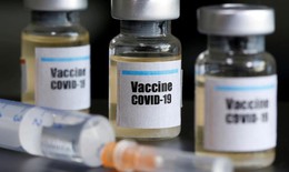 Mỹ: 8 người ti&#234;m vắc xin thử nghiệm ph&#242;ng COVID-19 đ&#227; c&#243; kh&#225;ng thể chống virus